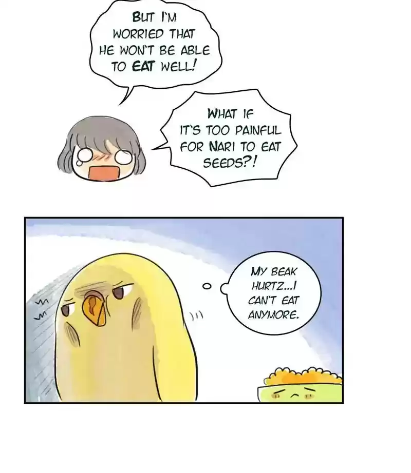 A Budgie's Life Chapter 187: Ep.186: