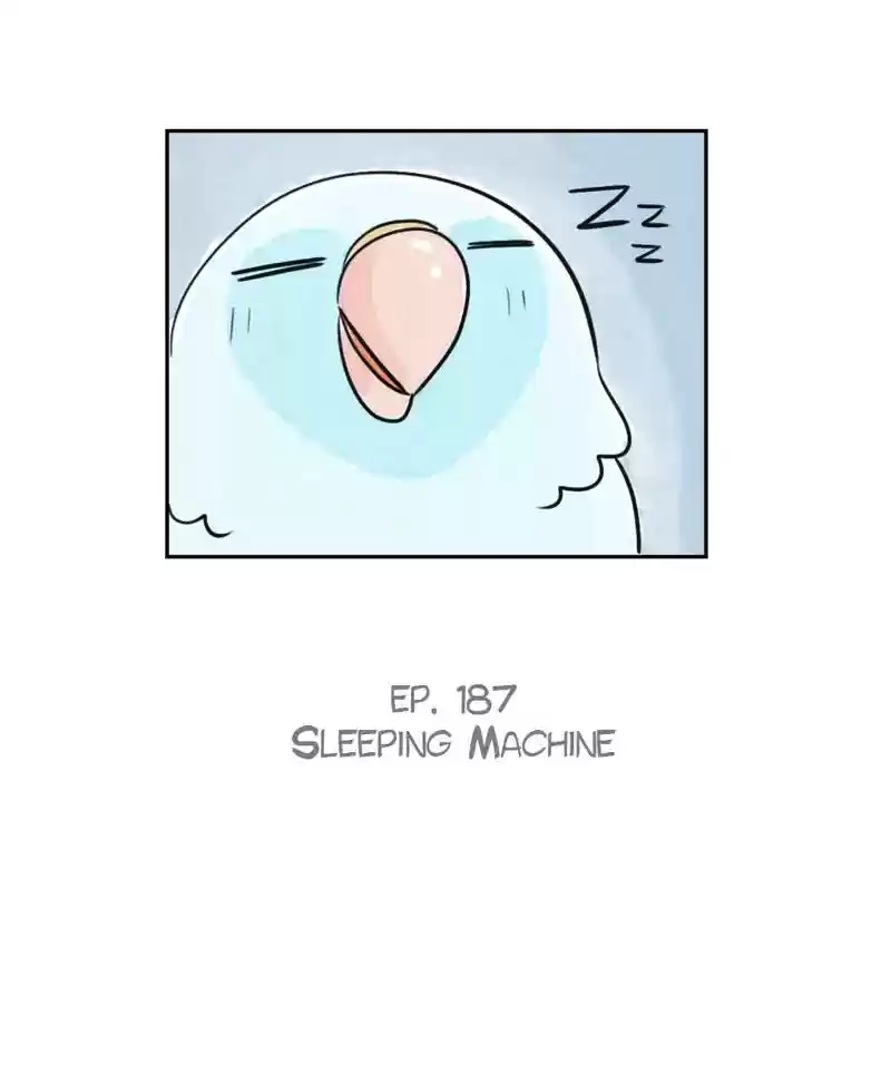 A Budgie's Life Chapter 188: Ep.187: