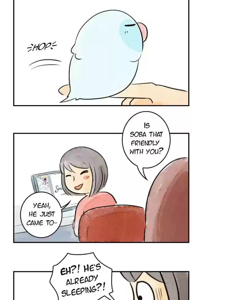 A Budgie's Life Chapter 188: Ep.187: