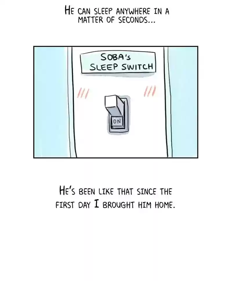 A Budgie's Life Chapter 188: Ep.187: