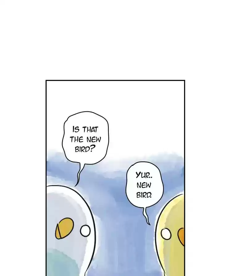 A Budgie's Life Chapter 188: Ep.187: