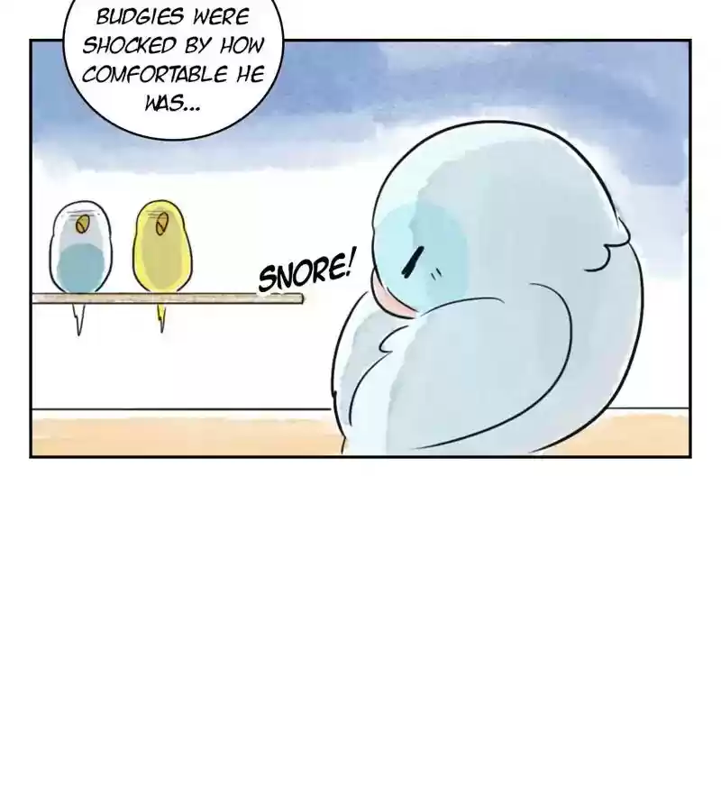 A Budgie's Life Chapter 188: Ep.187: