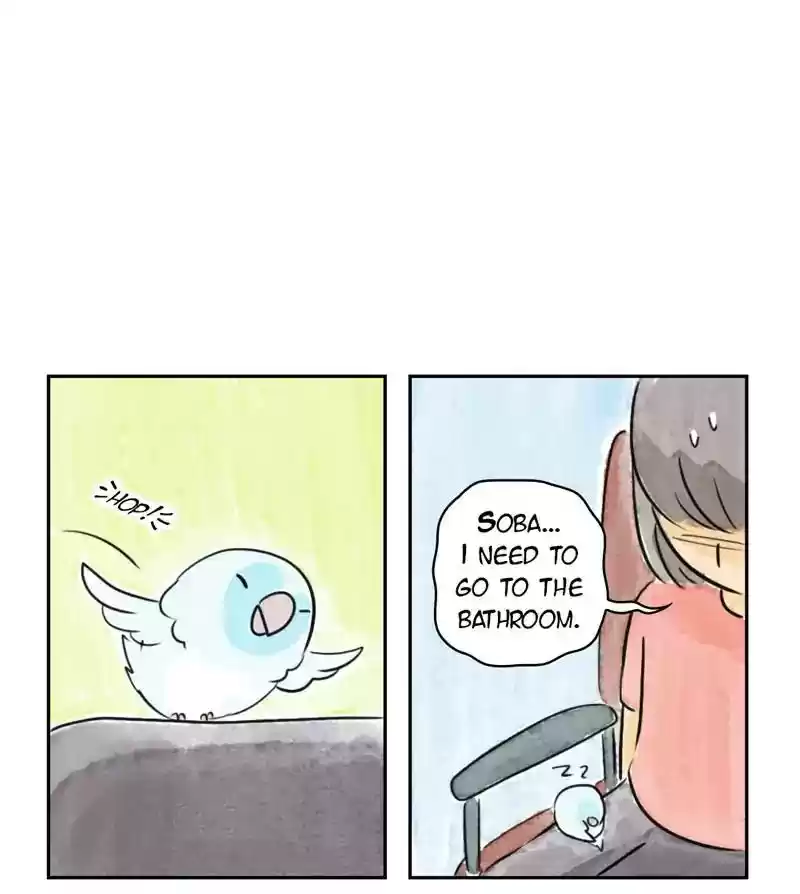 A Budgie's Life Chapter 188: Ep.187: