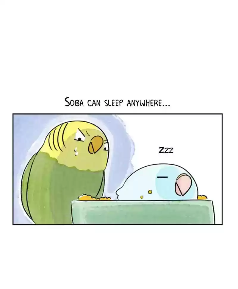 A Budgie's Life Chapter 188: Ep.187: