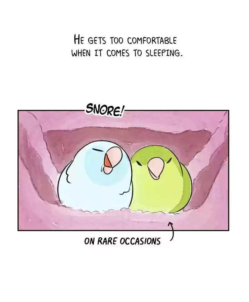 A Budgie's Life Chapter 188: Ep.187: