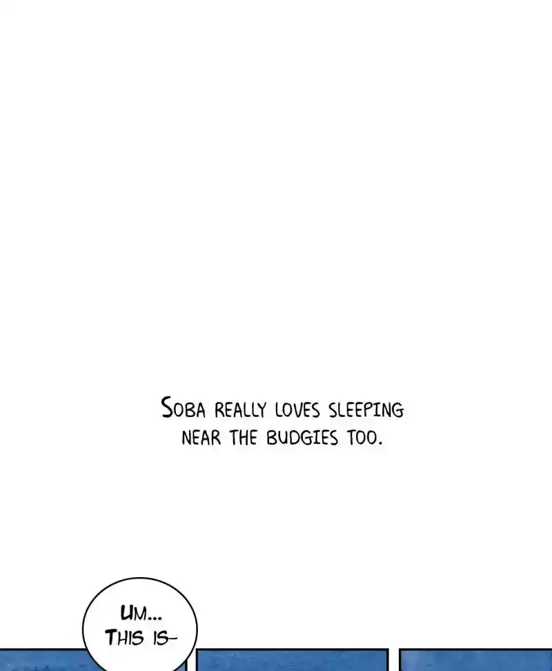 A Budgie's Life Chapter 188: Ep.187: