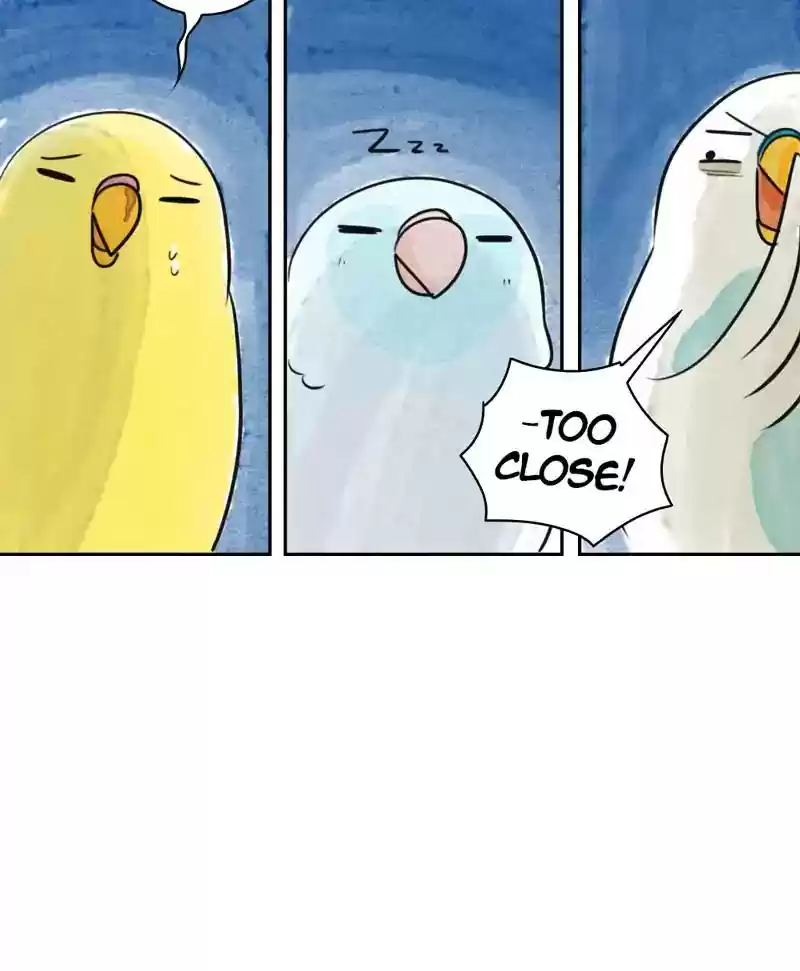 A Budgie's Life Chapter 188: Ep.187: