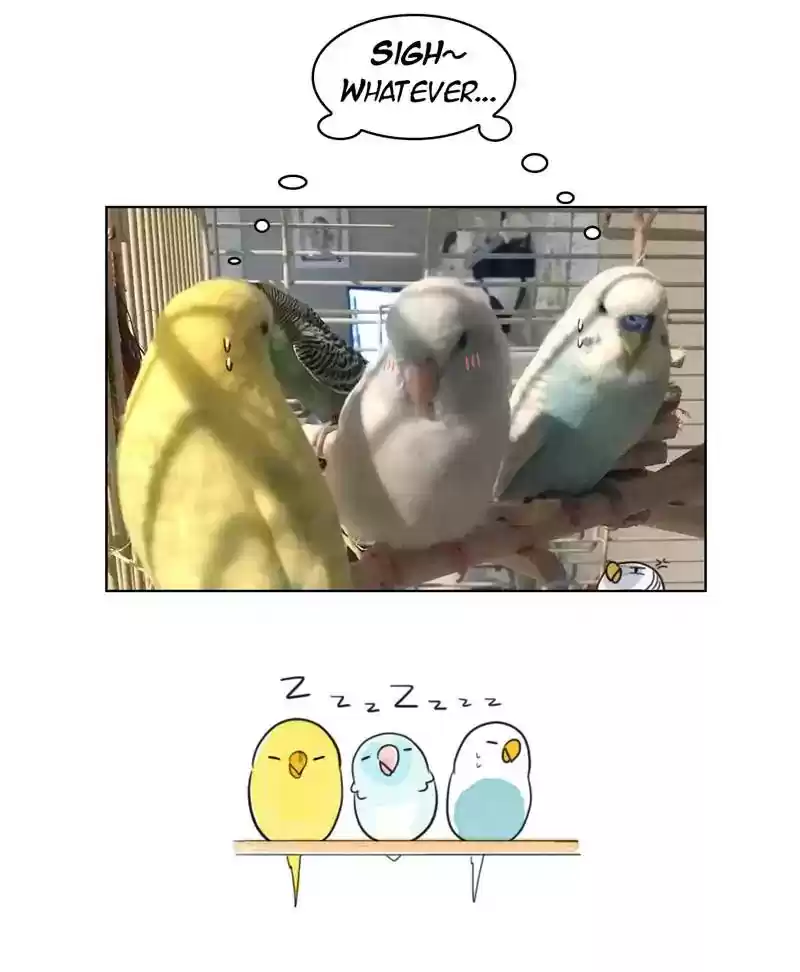 A Budgie's Life Chapter 188: Ep.187: