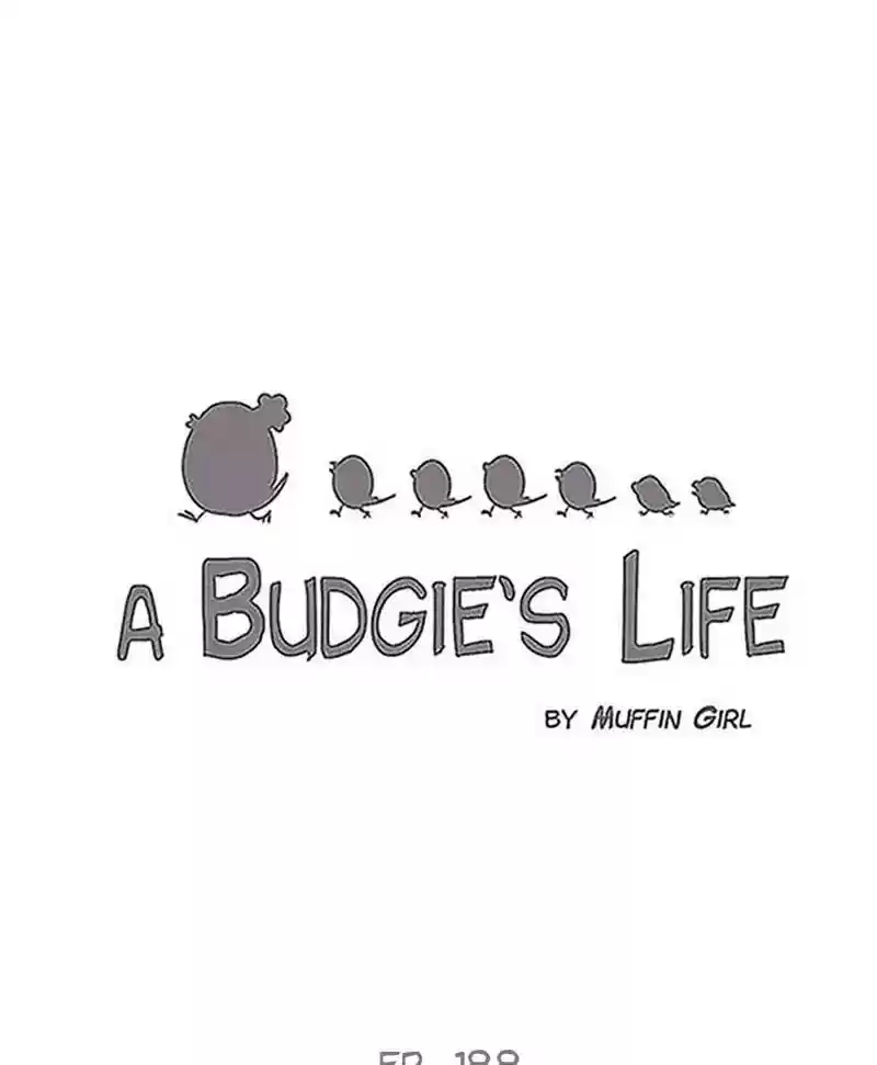 A Budgie's Life Chapter 189: Ep.188: