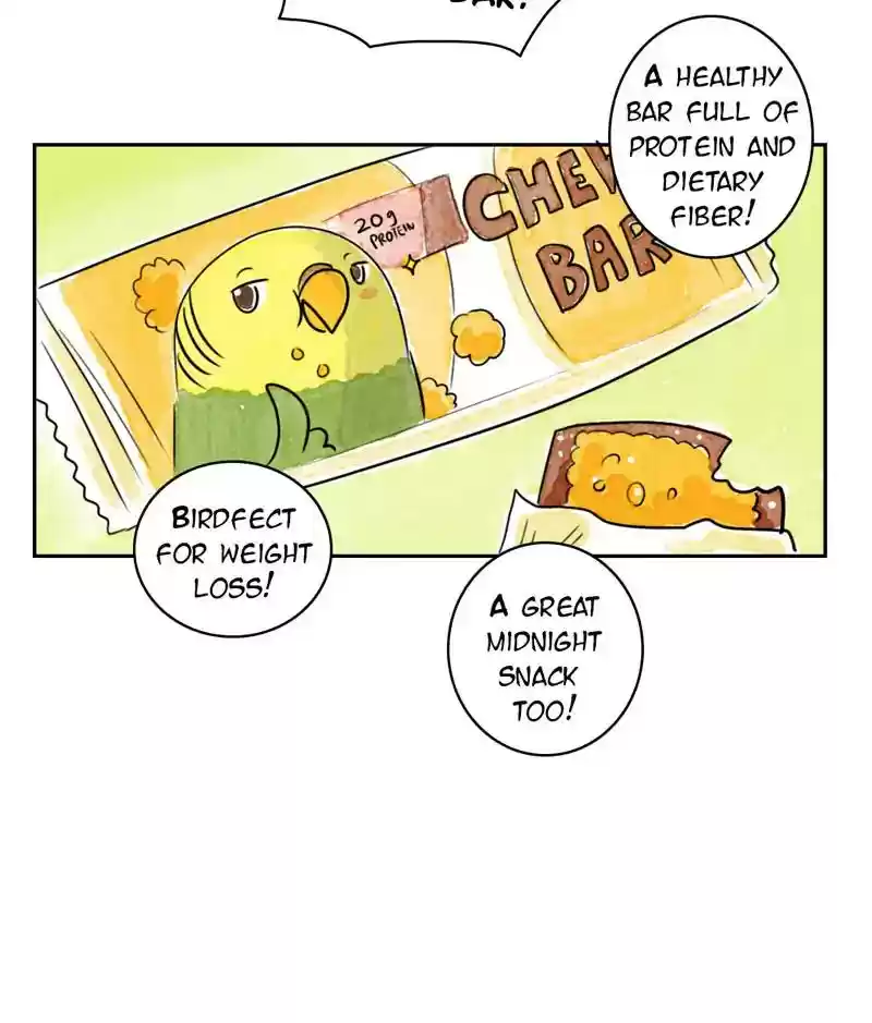 A Budgie's Life Chapter 189: Ep.188: