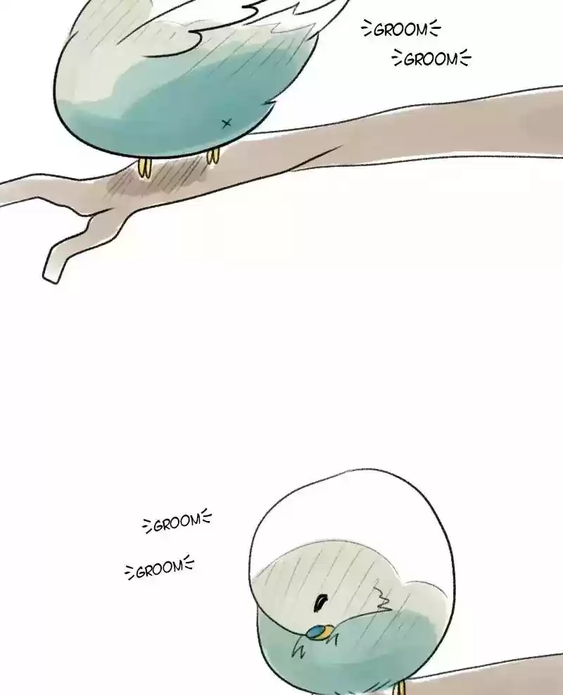 A Budgie's Life Chapter 19: Ep.19: