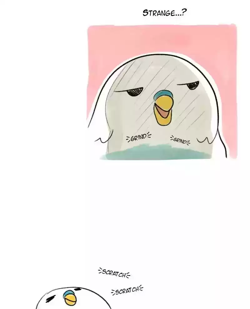 A Budgie's Life Chapter 19: Ep.19: