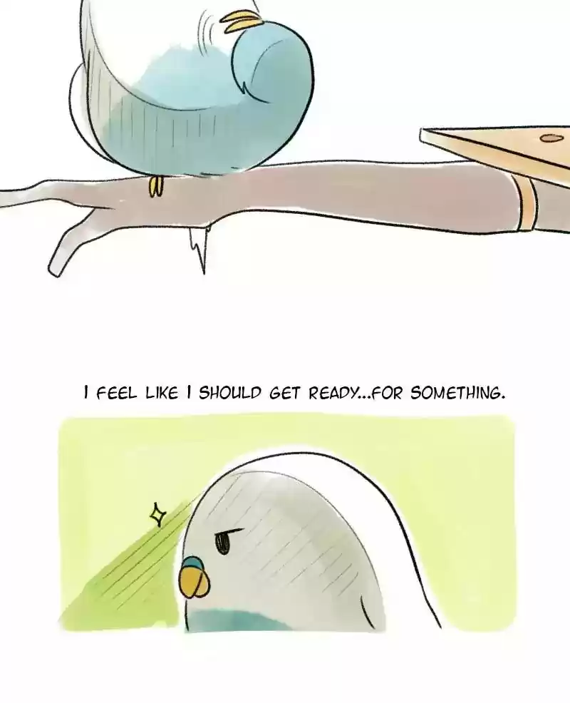 A Budgie's Life Chapter 19: Ep.19: