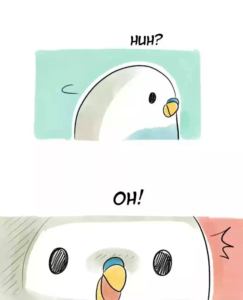 A Budgie's Life Chapter 19: Ep.19:
