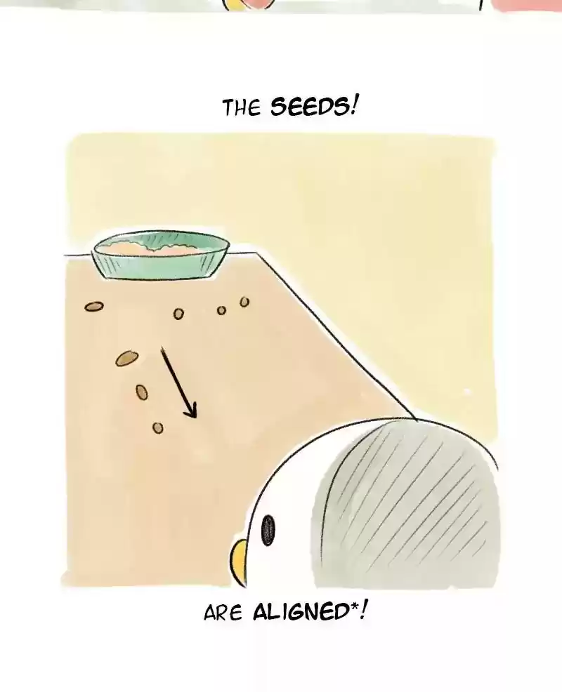 A Budgie's Life Chapter 19: Ep.19: