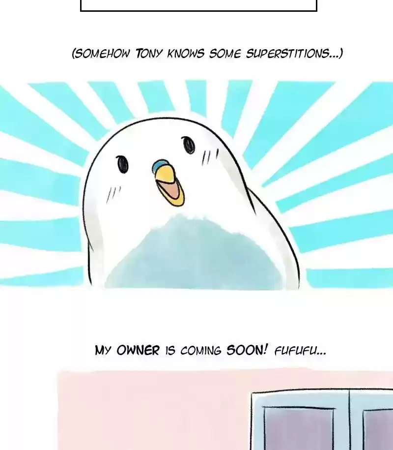 A Budgie's Life Chapter 19: Ep.19: