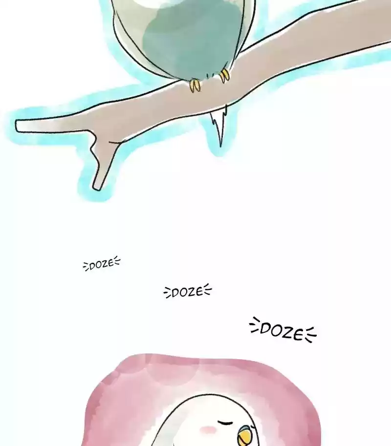 A Budgie's Life Chapter 19: Ep.19: