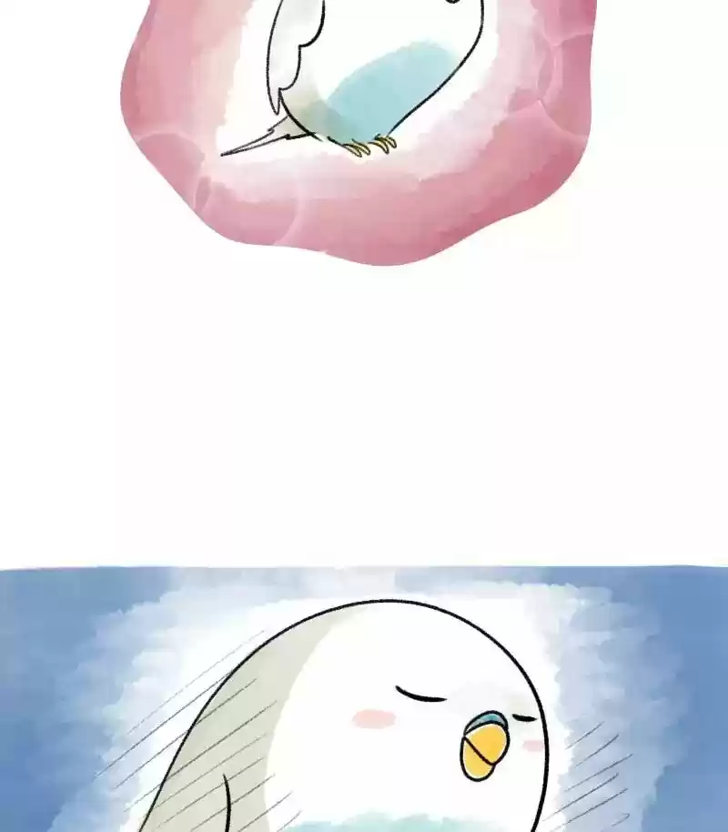 A Budgie's Life Chapter 19: Ep.19: