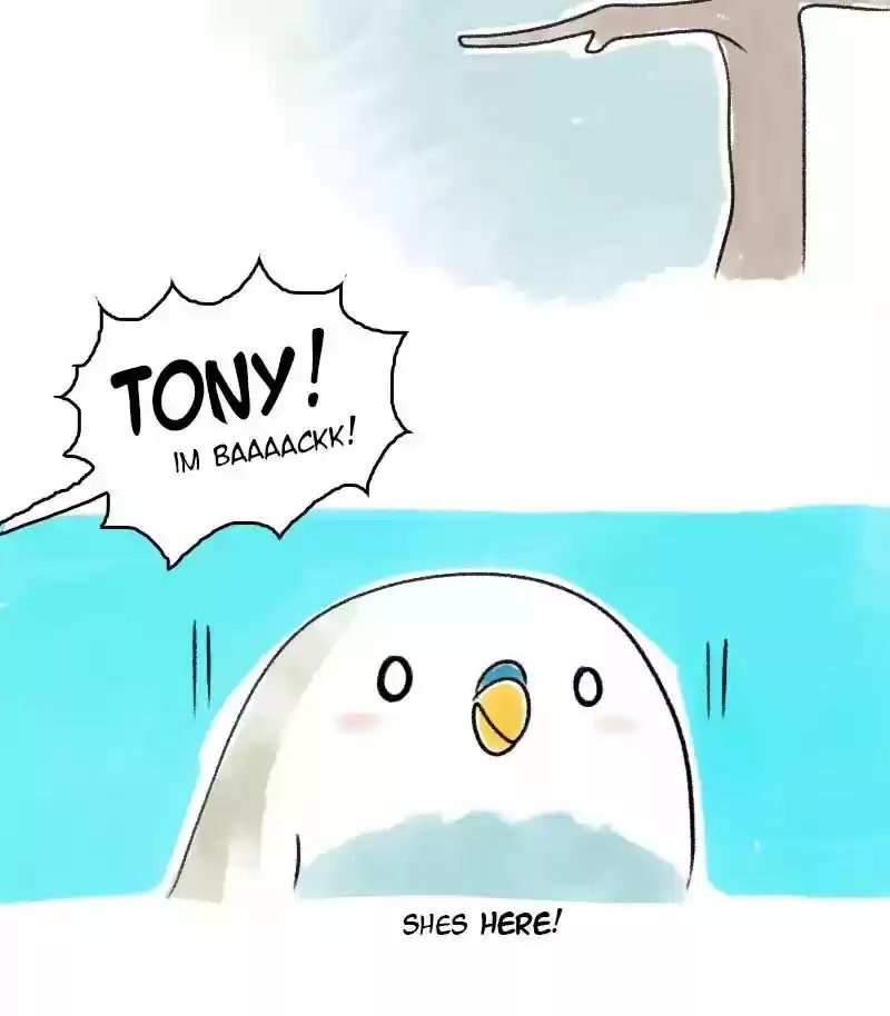 A Budgie's Life Chapter 19: Ep.19: