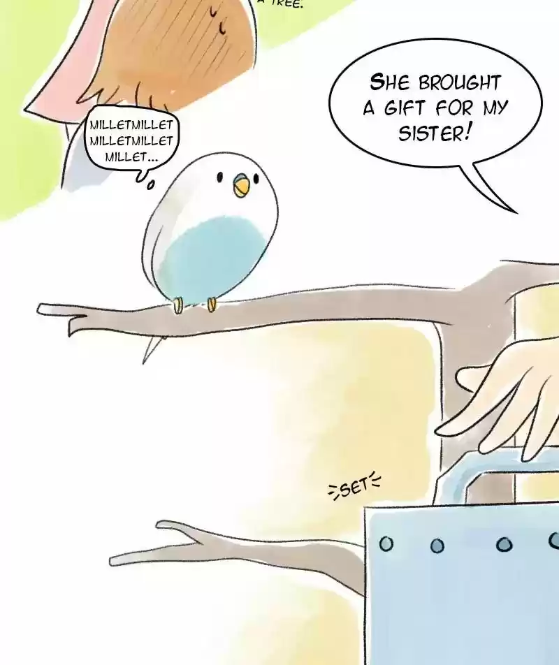 A Budgie's Life Chapter 19: Ep.19: