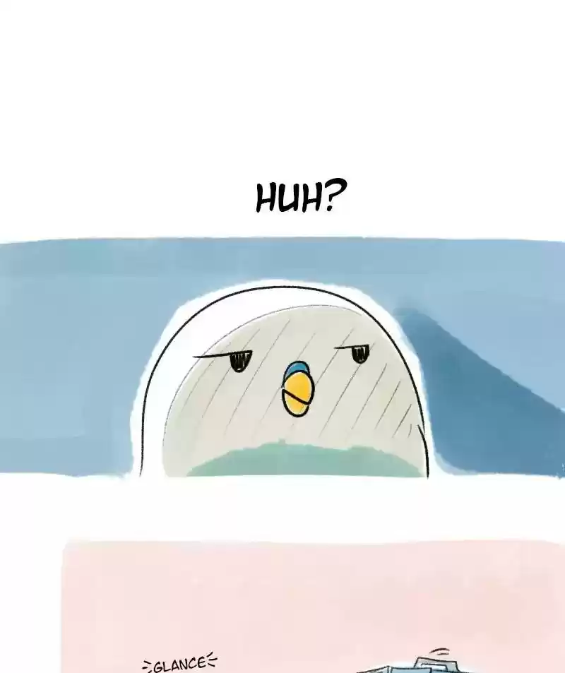 A Budgie's Life Chapter 19: Ep.19:
