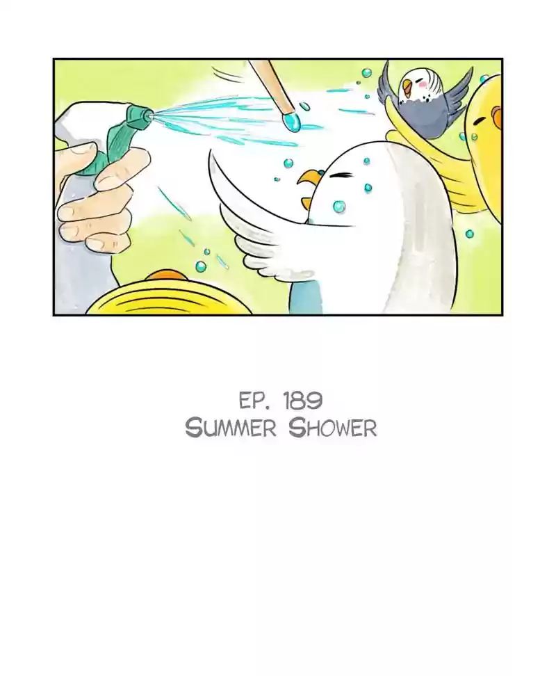 A Budgie's Life Chapter 190: Ep.189: