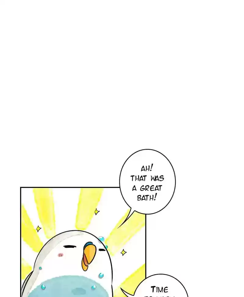 A Budgie's Life Chapter 190: Ep.189: