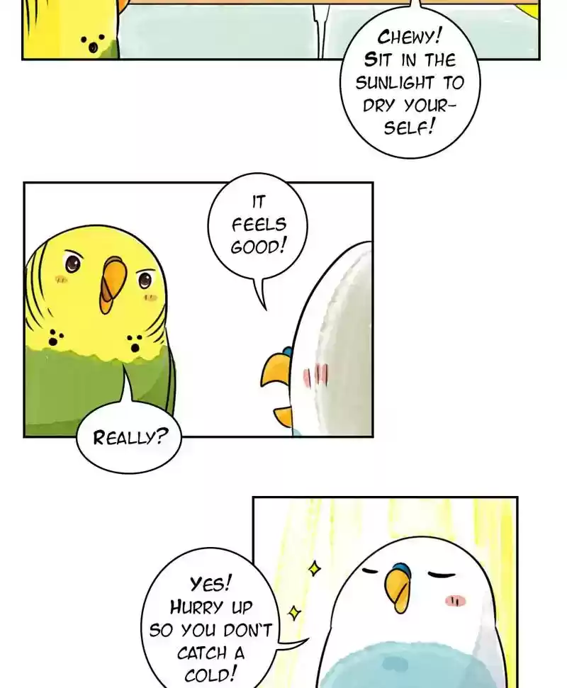 A Budgie's Life Chapter 190: Ep.189: