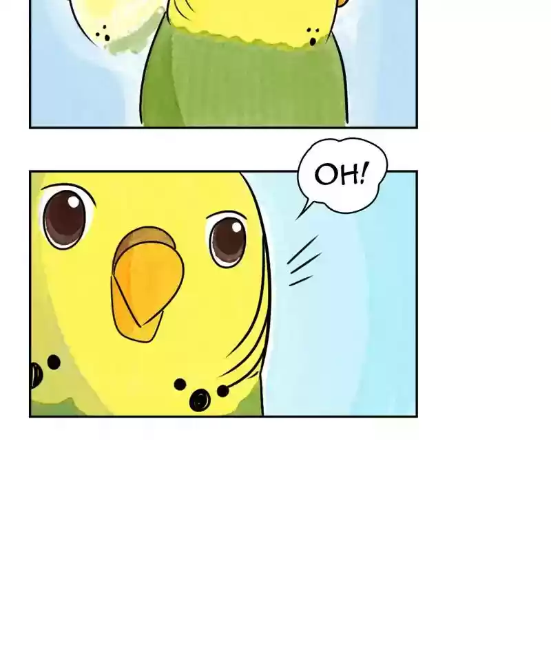 A Budgie's Life Chapter 190: Ep.189: