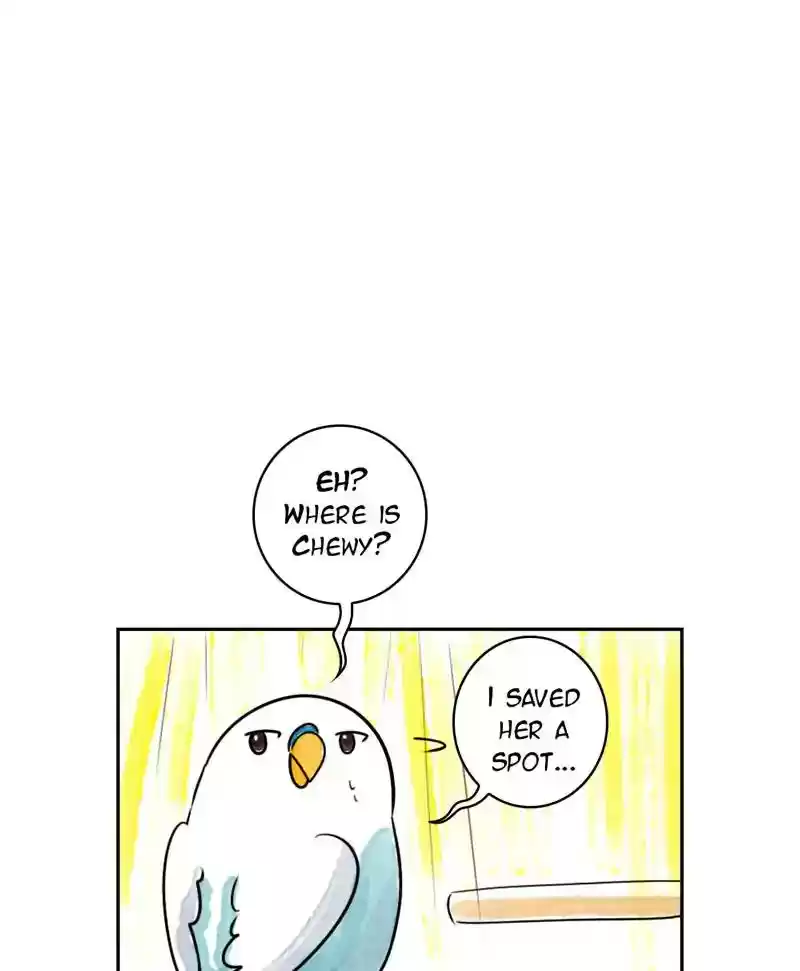 A Budgie's Life Chapter 190: Ep.189: