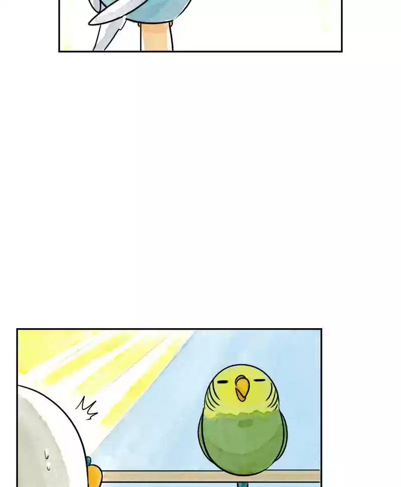 A Budgie's Life Chapter 190: Ep.189:
