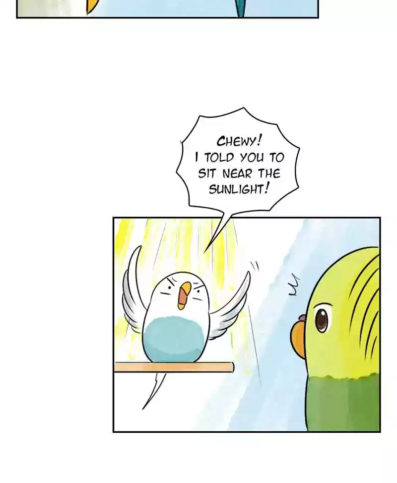 A Budgie's Life Chapter 190: Ep.189: