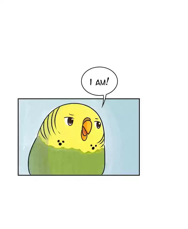 A Budgie's Life Chapter 190: Ep.189: