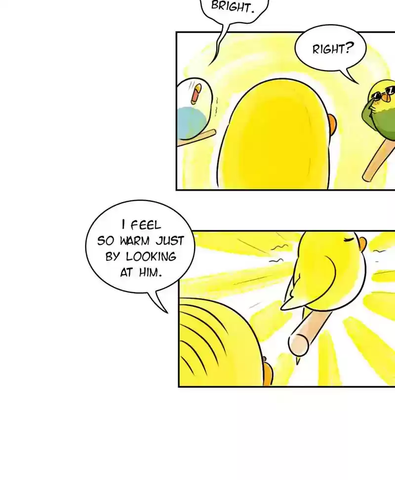 A Budgie's Life Chapter 190: Ep.189: