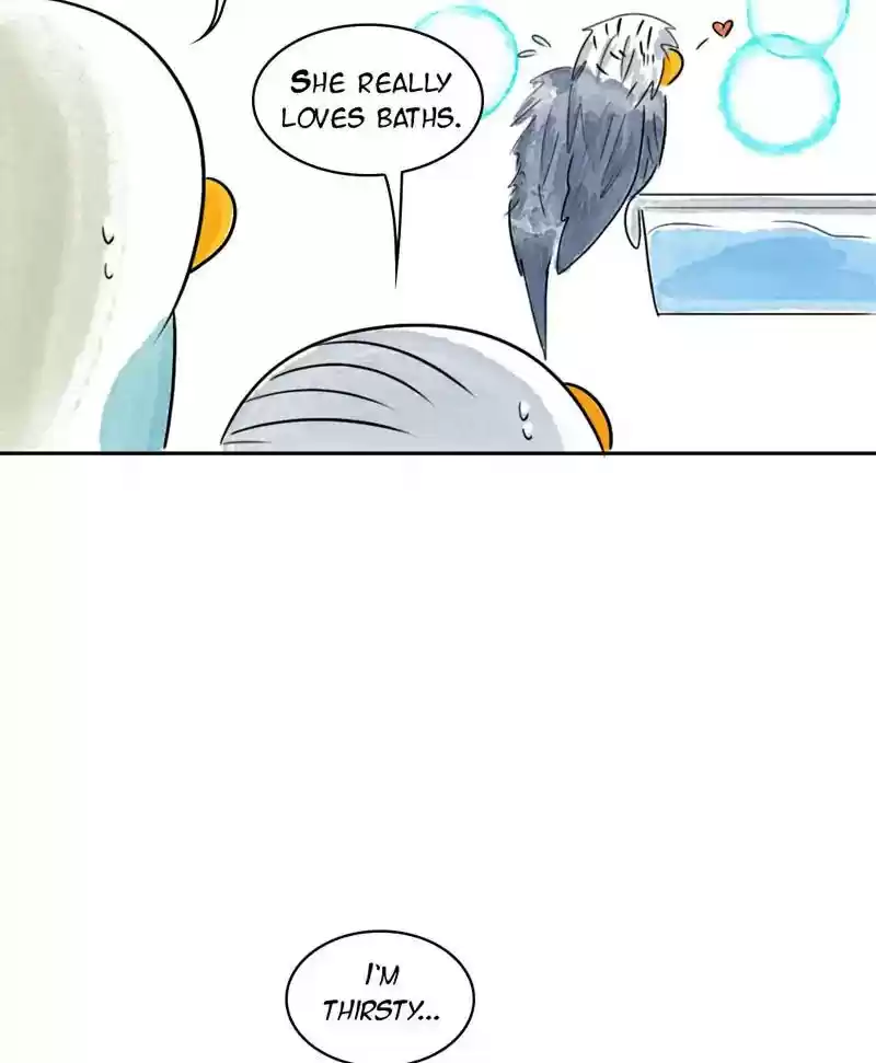 A Budgie's Life Chapter 190: Ep.189:
