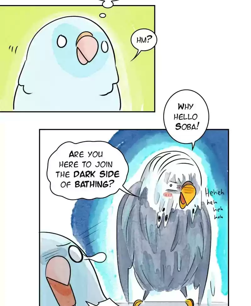A Budgie's Life Chapter 190: Ep.189: