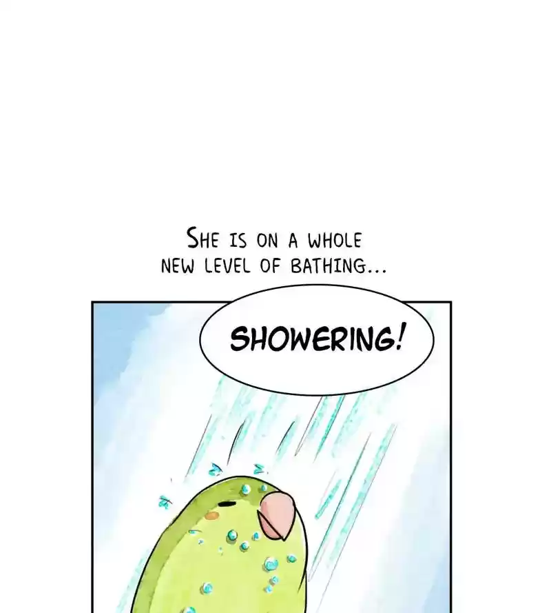 A Budgie's Life Chapter 190: Ep.189: