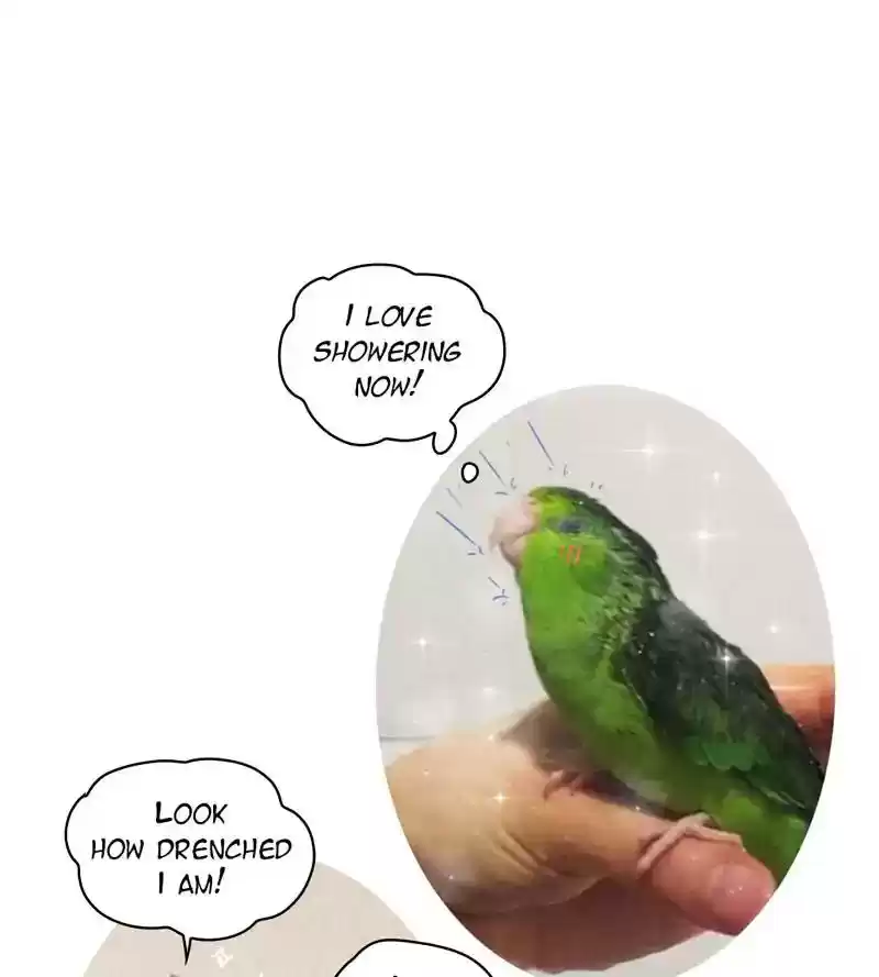 A Budgie's Life Chapter 190: Ep.189: