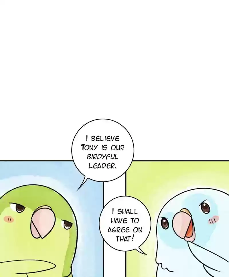 A Budgie's Life Chapter 191: Ep.190: