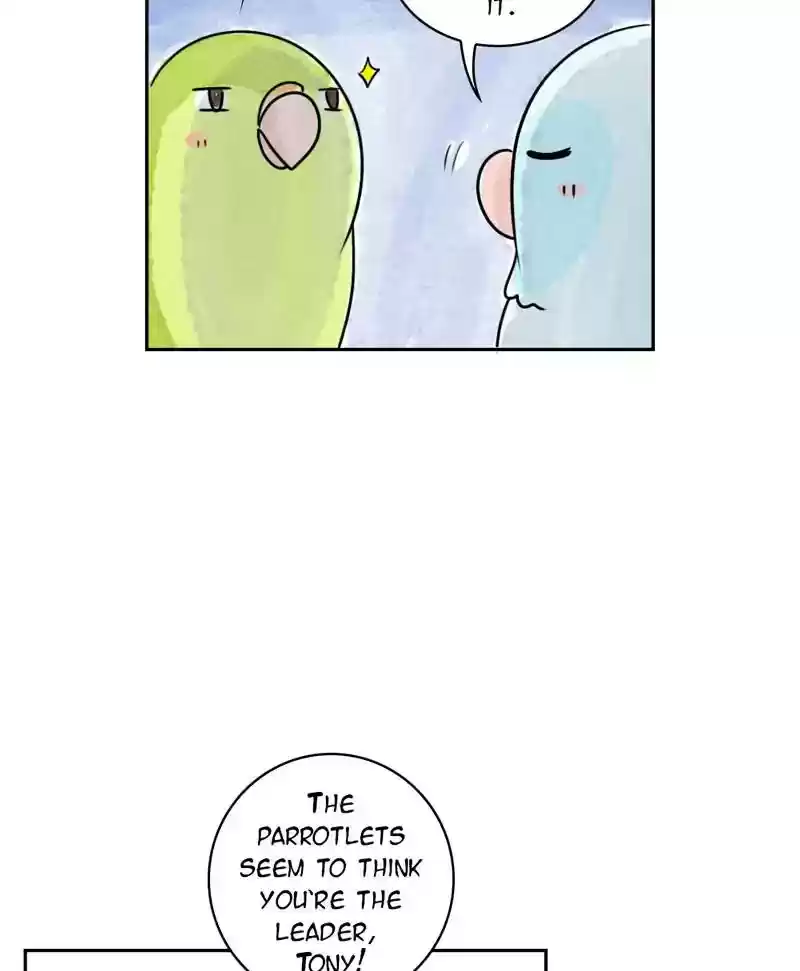 A Budgie's Life Chapter 191: Ep.190: