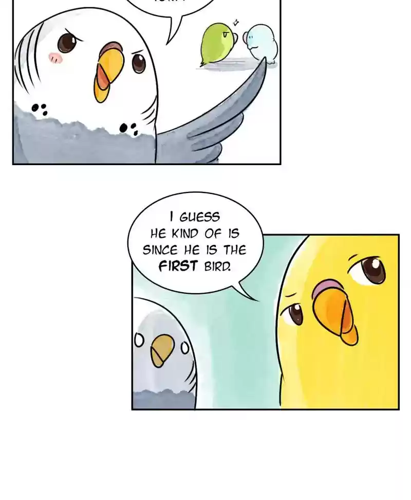 A Budgie's Life Chapter 191: Ep.190: