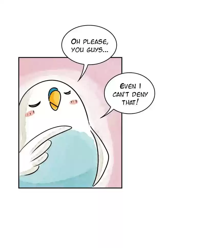 A Budgie's Life Chapter 191: Ep.190: