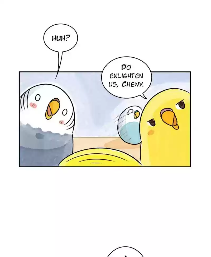 A Budgie's Life Chapter 191: Ep.190: