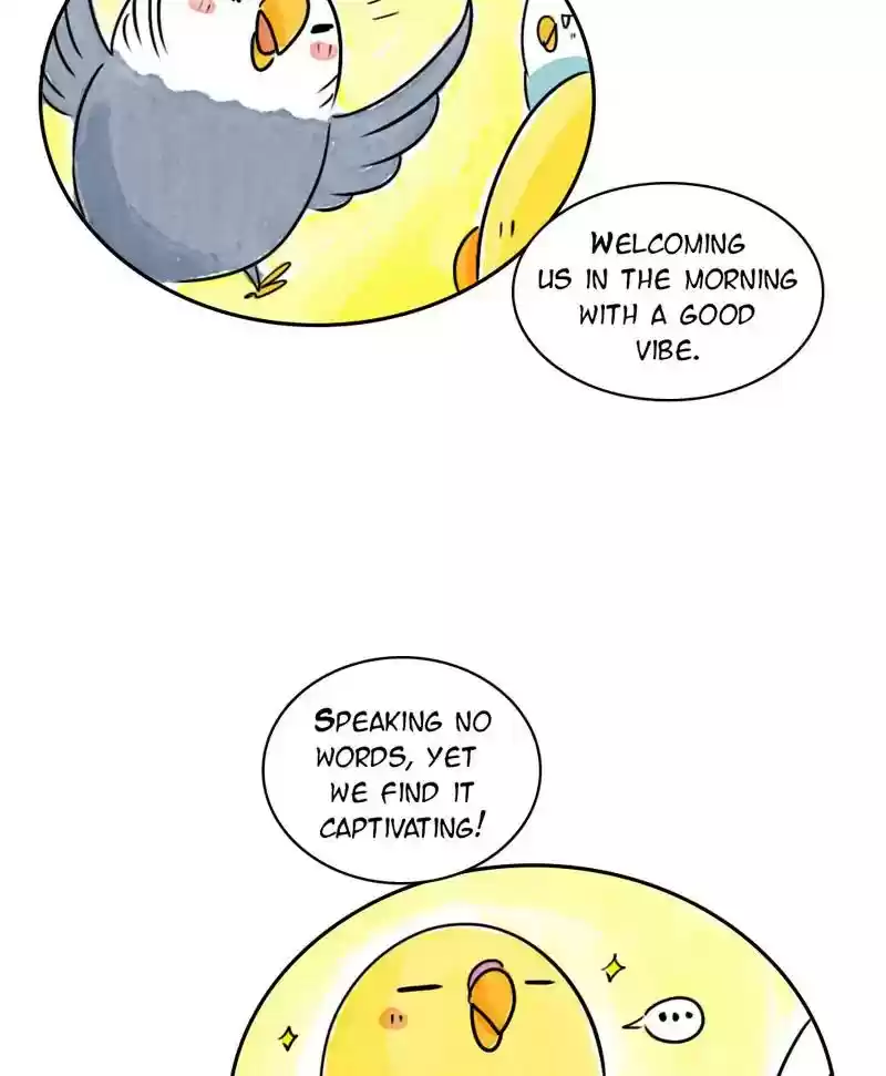 A Budgie's Life Chapter 191: Ep.190: