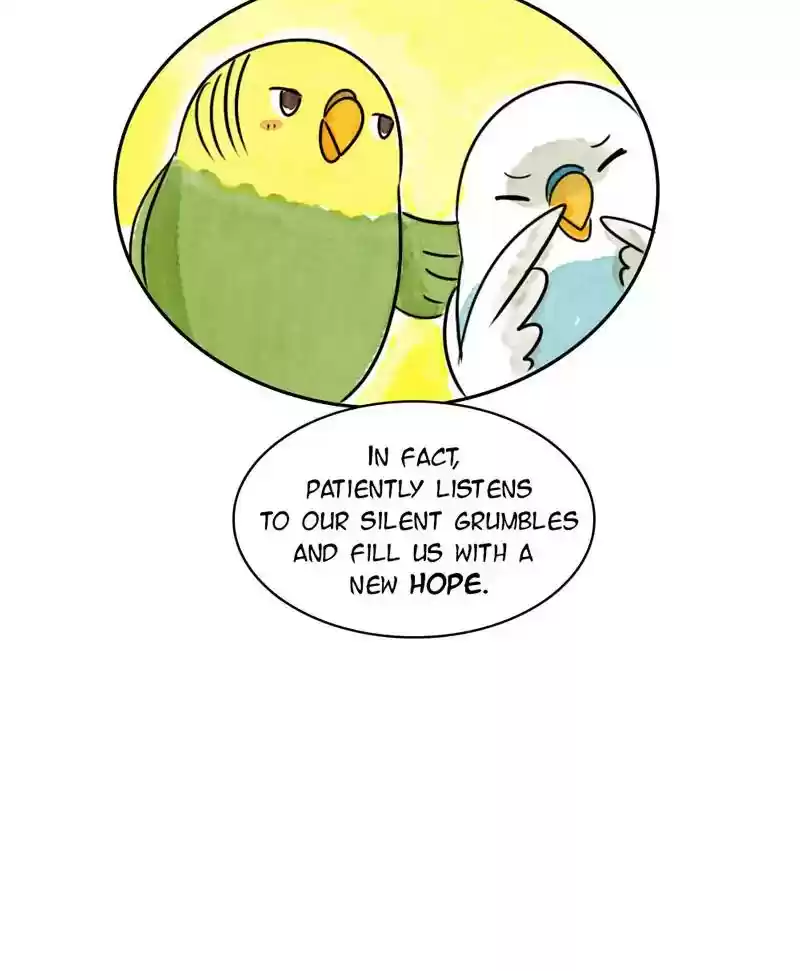 A Budgie's Life Chapter 191: Ep.190: