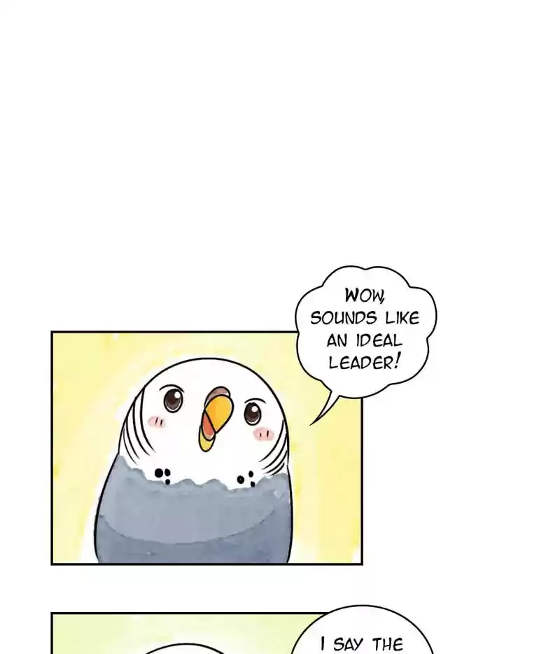 A Budgie's Life Chapter 191: Ep.190: