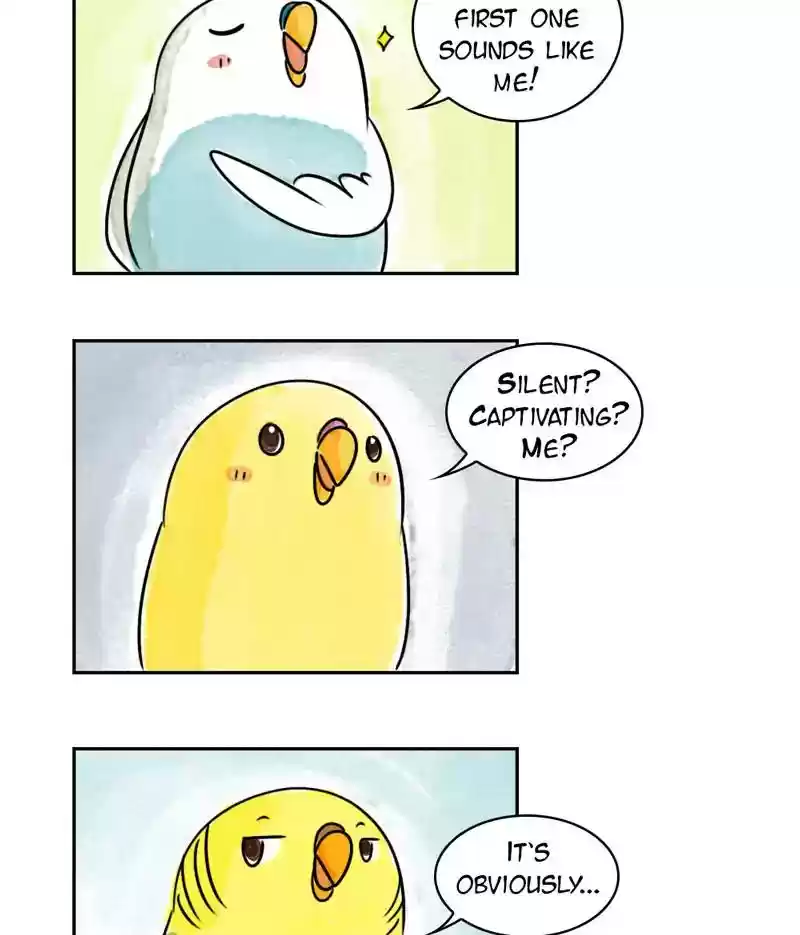 A Budgie's Life Chapter 191: Ep.190: