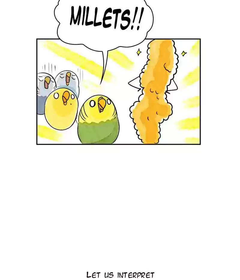 A Budgie's Life Chapter 191: Ep.190: