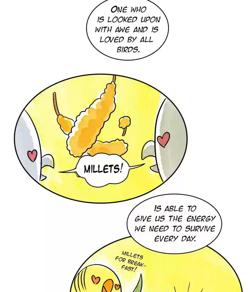 A Budgie's Life Chapter 191: Ep.190: