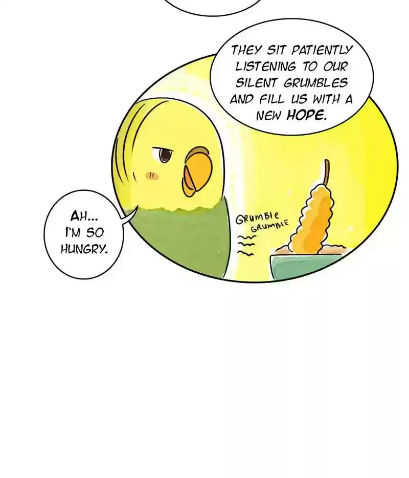 A Budgie's Life Chapter 191: Ep.190: